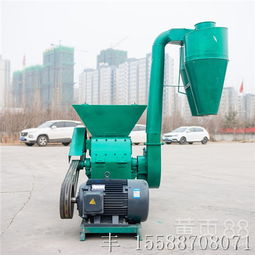 上海畜牧漁業(yè)飼料銷售市場 機遇、挑戰(zhàn)與發(fā)展趨勢