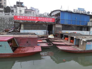 龍川縣畜牧獸醫漁業局 推動畜牧漁業飼料銷售，助力現代農牧業發展