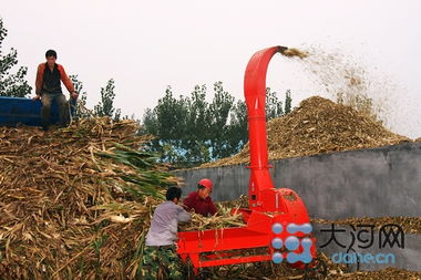 投資6億辦教育，打造畜牧業(yè)名片——記者走訪泌陽探尋鄉(xiāng)村振興新路徑