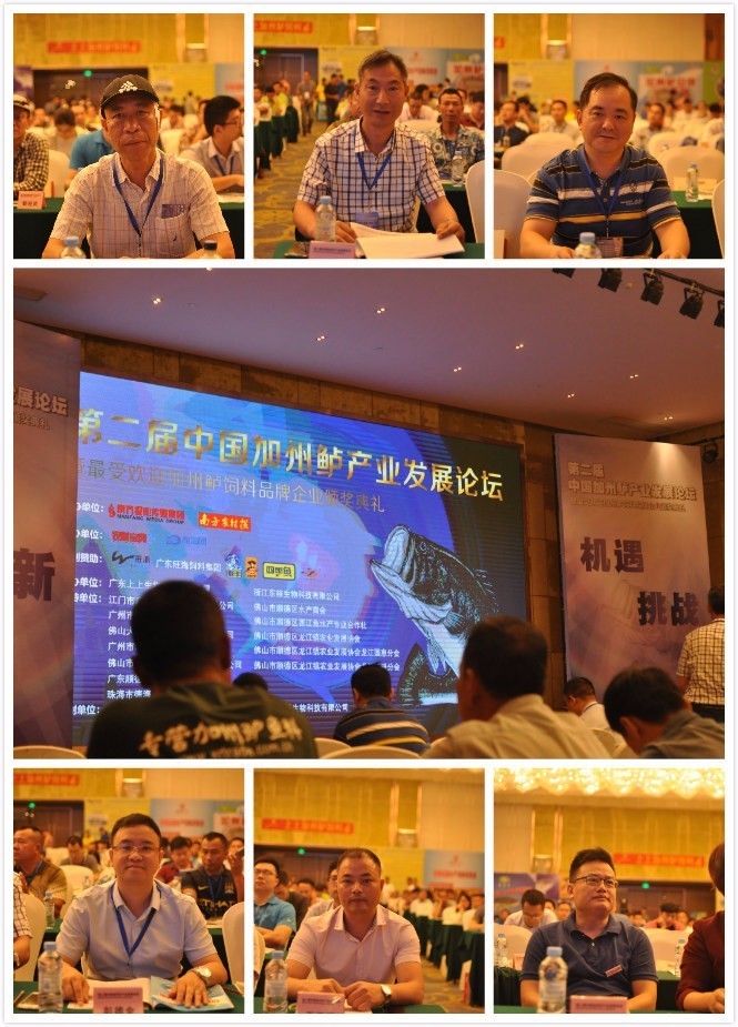 加州鱸價飆升，飼料行業面臨機遇與挑戰